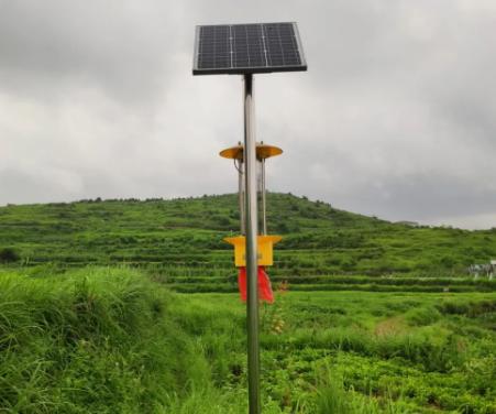 为实现农业生产安全频振式太阳能杀虫灯被广泛使用